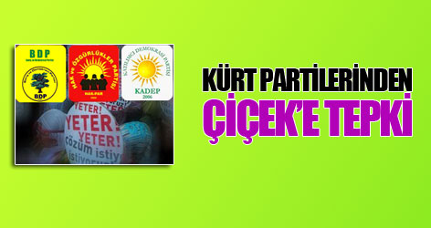 Kürt partilerinden Çiçek’e tepki