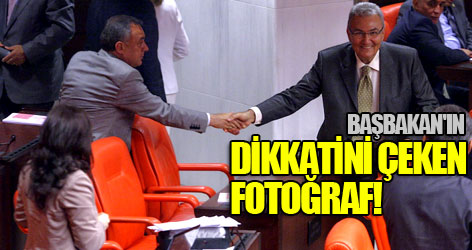 Başbakan'ın dikkatini çeken fotoğraf!