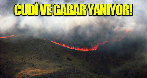 Cudi ve Gabar yanıyor!