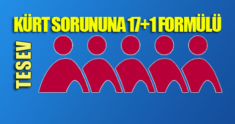 TESEV'den Kürt sorununa 17+1 formülü