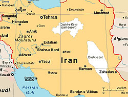 İran yolcu uçağı düştü
