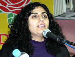 BDP, İnegöl ve Hatay'a heyet gönderiyor