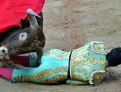 Boğalar özgür, viva Katalonya