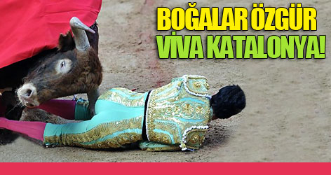 Boğalar özgür, viva Katalonya