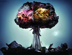 Hiroşima'da Hüzünlü Tören