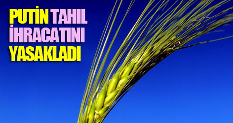Putin tahıl ihracatını yasakladı
