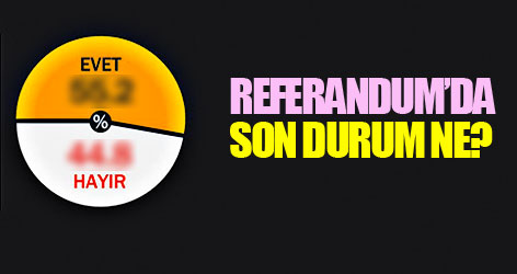 Son Referandum anketi ne diyor?