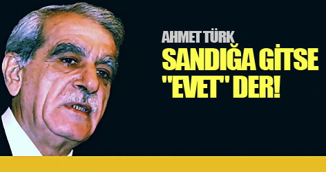 Ahmet Türk sandığa gitse "Evet" der!