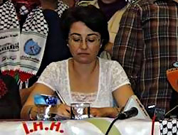 Zubi, BM Müfettişlerine baskını anlattı