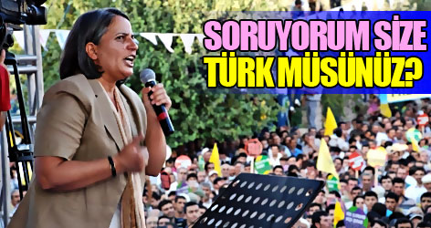 BDP'den Diyarbakır'da boykot mitingi