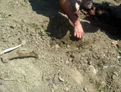 Yüksekova Taburu'nda da 3 Kişi Gömülü Olabilir