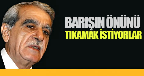 Türk: Barışın önünü tıkamak istiyorlar