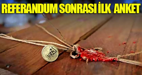 Referandum sonrası ilk seçim anketi