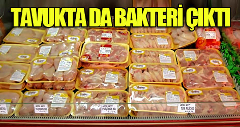 Tavukta da bakteri çıktı