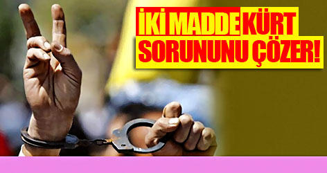 İki Madde Kürt Sorununu Çözer!