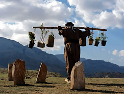 'Kandil yaylası'na en iyi senaryo ödülü
