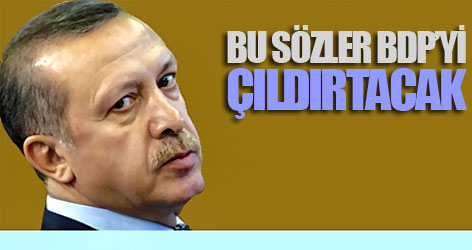 Erdoğan'ın sözleri BDP'yi çıldırtacak