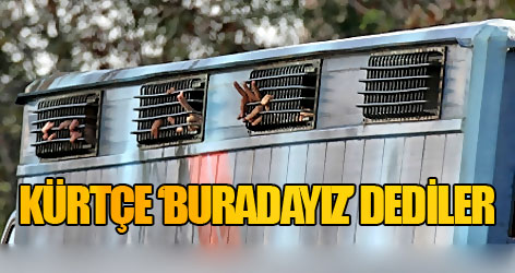 Li vir im 'Burdayım' dediler