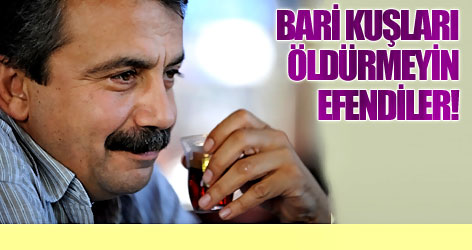 'Bari kuşlara kıymayın efendiler!'
