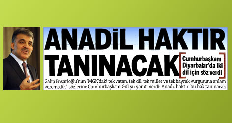 Gül: Anadil haktır tanınacak