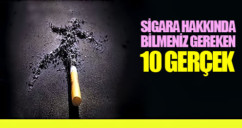 Sigara hakkında bilmeniz gereken 10 gerçek
