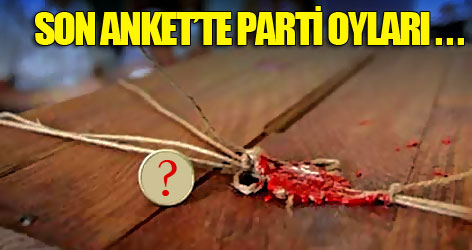 AKP referandum oyunu yakaladı