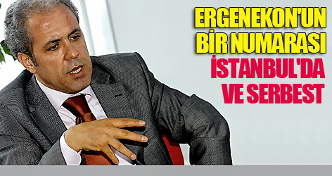 Tayyar: Ergenekon'un bir numarası İstanbul'da ve serbest