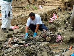 Dersim'de toplu mezar bulundu