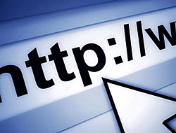 Web sitesi olmayan şirket sahibine hapis