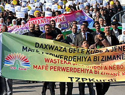 Diyarbakır'da Anadil yürüyüşü!