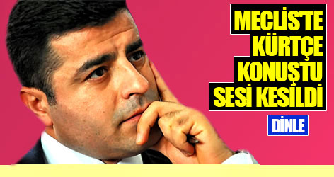 Meclis'te Kürtçe konuştu sesi kesildi