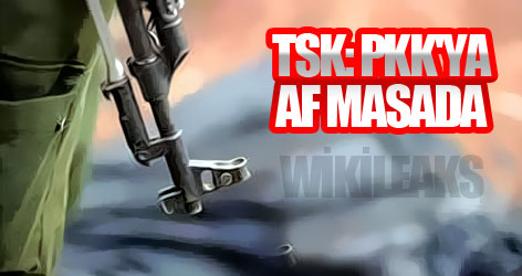 TSK: PKK'ya af masada!