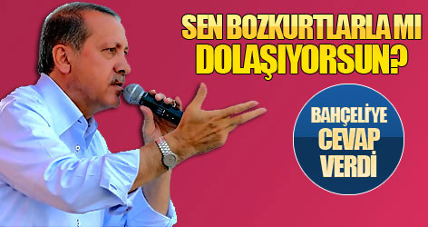 Erdoğan'dan Bahçeli'ye 'bozkurt' yanıtı