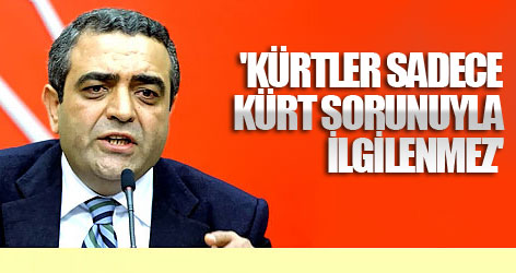 'Kürtler sadece Kürt sorunuyla ilgilenmez'