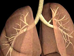 Akciğer hastalıklarında yeni umut