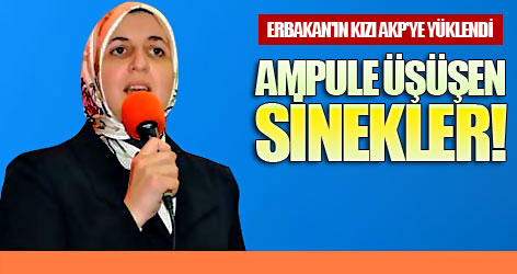 Ampule üşüşen sinekler!