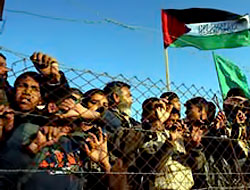 Filistinliler'de 'Refah' çoşkusu!