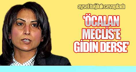 'Öcalan Meclis'e gidin derse...'