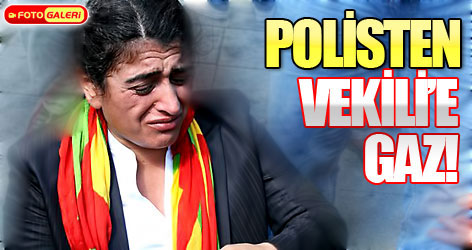 Milletvekillerine gazlı müdahale!