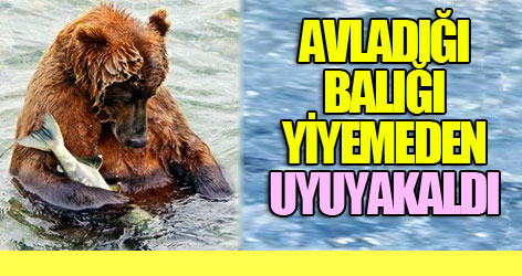 Avladığı balığı yiyemeden uyuyakaldı
