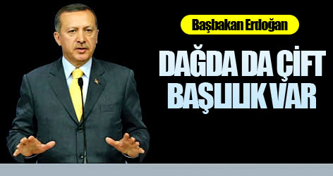 Erdoğan: Dağda da çift başlılık var!