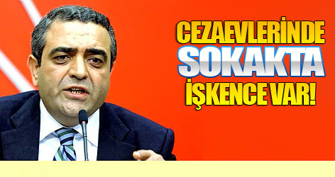 Tanrıkulu: Cezaevleri ve sokakta işkence var!