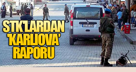 STK'lar 'Karlıova olayları' raporunu açıkladı