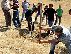 Tunceli'de 'toplu mezar' kazısı sürüyor