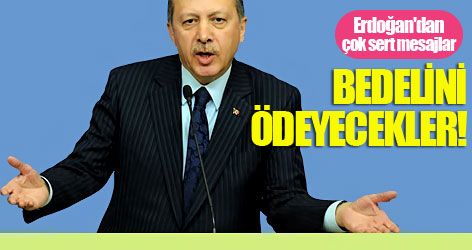 Erdoğan: Bedelini ödeyecekler!