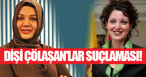 Milliyet yazarından 'Dişi Çölaşanlar' ilanı!