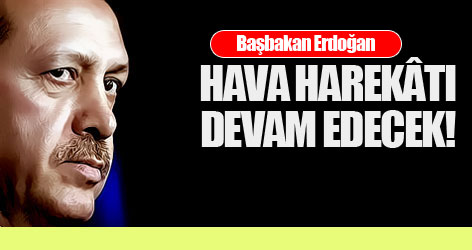 Erdoğan: Hava harekâtı devam edecek