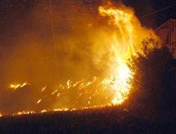 Antalya'daki orman yangını korkuttu