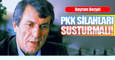 Bozyel: PKK silahları susturmalı!