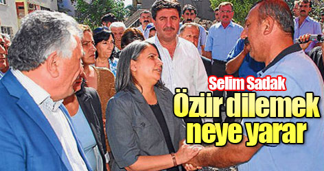 Selim Sadak: Özür dilemek neye yarar